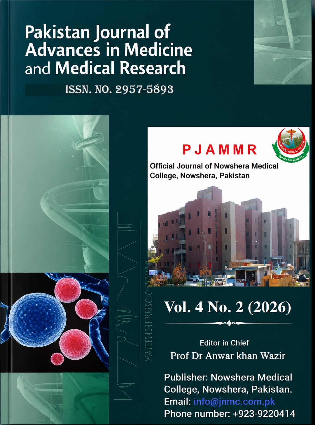 					View Vol. 4 No. 2 (2026): Pakistan Journal of Advances in Medicine and Medical Research
				