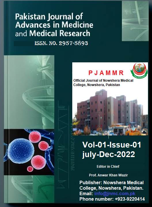 					View Vol. 1 No. 01 (2022): Pakistan journal of advances  in medicine and medical research
				