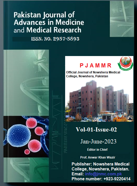 					View Vol. 2 No. 01 (2023): Pakistan Journal of Advances in Medicine and Medical Research
				